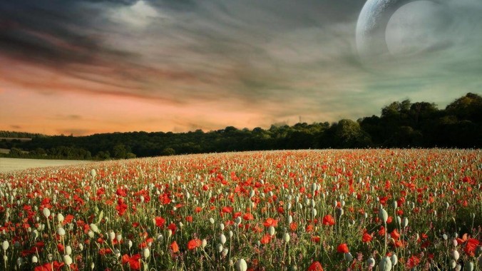 现在还有人一直坚持使用 Eclipse,不使用 IntelliJ IDEA 吗?